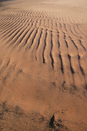 vertical image of beach surface with ripples from small wavesの写真素材
