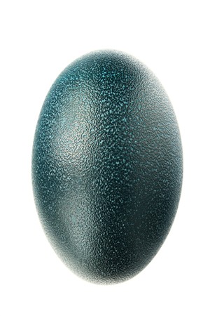 close up of an emu egg isolated on a white backgroundの写真素材