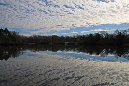 symmetrical reflection of clouds and trees in suburban lakeの写真素材