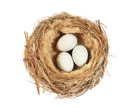 bird nest with three speckled eggs isolated on whiteの写真素材