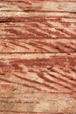 vertical image of red and tan cross bedded sandstone background texture