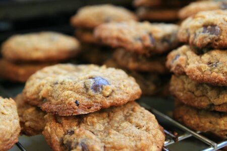fresh baked homemade chocolate chip cookies cooling on a rack