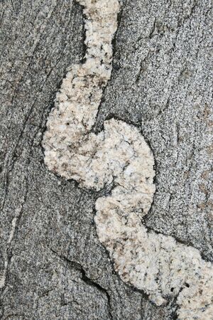 gneiss background with contorted quartz vein