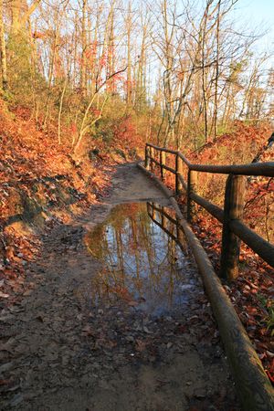 a wooden fenced trail with reflecting puddle on a fall morningの写真素材