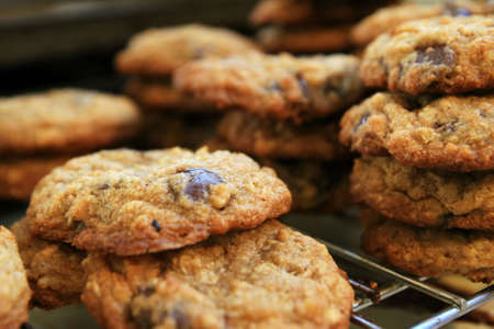 fresh-baked home made chocolate chip cookies cooling on a rackの写真素材