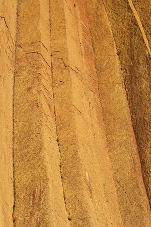 vertical image of Devils Tower Columns with yellow lichen