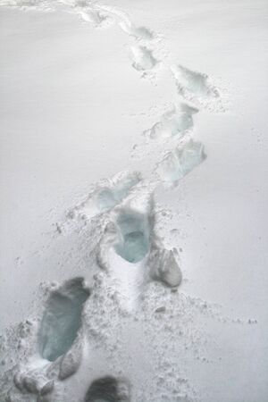 footprints walking towards the front of the image in deep snowの写真素材