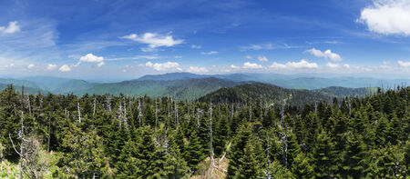 panoarama looking north from the summit of Clingmans Dome the highest point in Tennesseeの写真素材