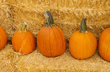a row of pumpkins on hay balesの写真素材