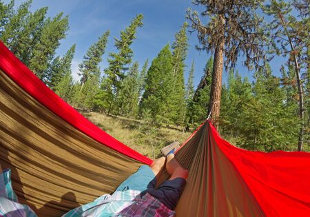 picture of mans body and legs in a hammock in the woodsの写真素材