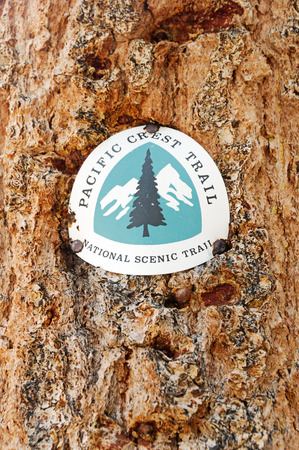 Pacific Crest Trail or PCT marker nailed to a tree trunkの写真素材