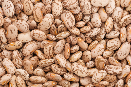 dry uncooked pinto beans close up background image