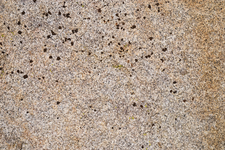 natural granite rock background texture with lichenの写真素材
