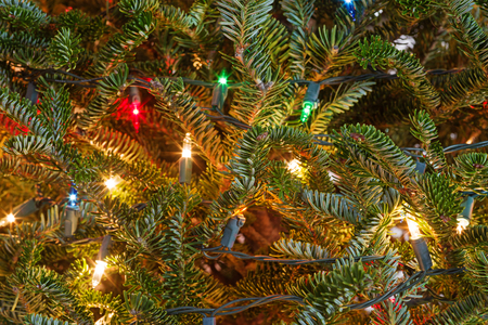 detail of Christmas tree with lightsの写真素材