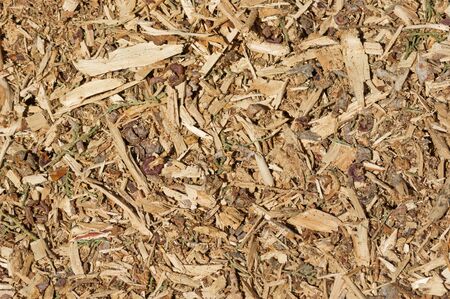organic mulch background with wood chips bark and leavesの写真素材