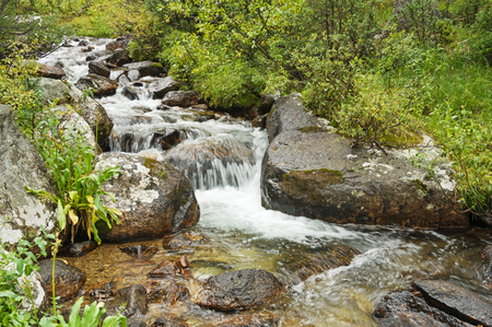 a small fast flowing creek in the Collegiate Peaks Wilderness in Coloradoの写真素材