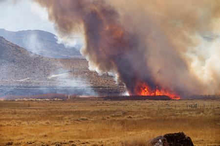 Wildfire in the Owens Valley near Pleasant Valley Campgroundの写真素材