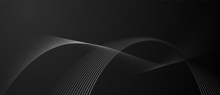 Vector abstract elegant wave lines background white line flow curveのイラスト素材