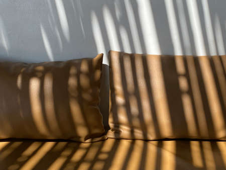 Sofa with shadow of palm leaf on the white wall.