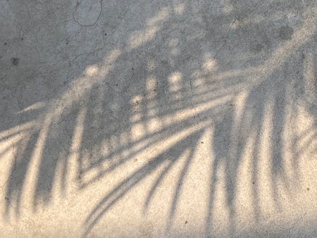 Shadow of palm leaf on concrete wall. Abstract texture for background.