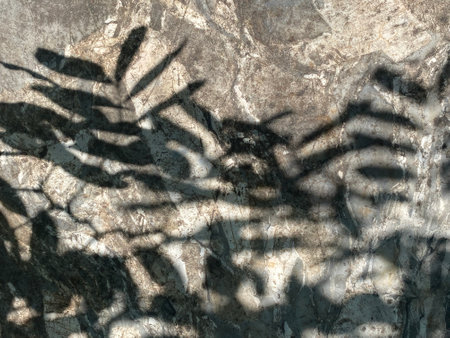 The shadow of the leaves on the stone wall. Abstract background.の写真素材