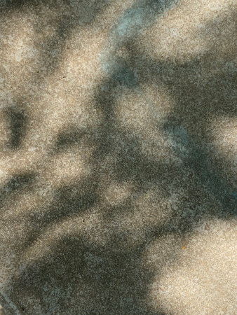 abstract background of shadow tree on cement floor texture for design.の写真素材