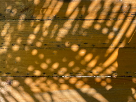 Wooden wall with a shadow on it.の写真素材