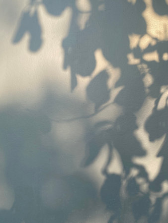 Shadow of leaves on a white wall in the morning light. Abstract background.