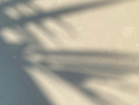shadow of palm leaf on white cement wall for background and texture.の写真素材