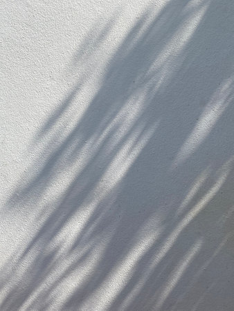 shadow of leaves on a white wall in the shade of a tree