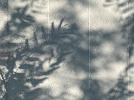 Shadow of leaves on a white concrete wall. Abstract background for design.