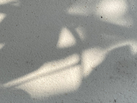 Shadow of the tree on the cement wall. Abstract background and texture for design.