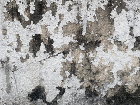 Grunge concrete wall texture background,abstract cement wall backgroundの写真素材
