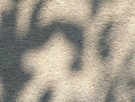Shadow of tree on cement wall. Abstract background and texture for design.の写真素材