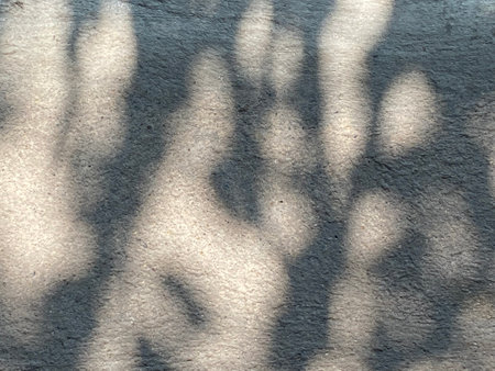 Shadow of tree on cement floor. Abstract background and texture for design.の写真素材