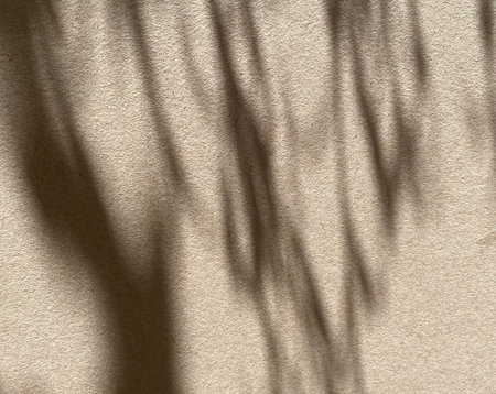 Shadow of tree on wall. Abstract background and texture for design.の写真素材