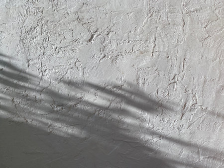 White concrete wall with shadow of palm leaves. Abstract background and texture.の写真素材