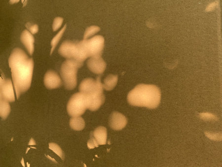 abstract background of shadows on the wall, closeup of photo