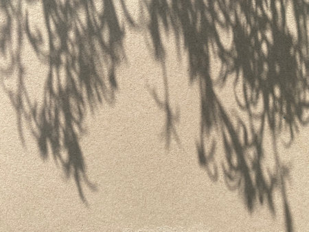 Shadow of tree branches on the wall. Abstract background and texture for design.の写真素材