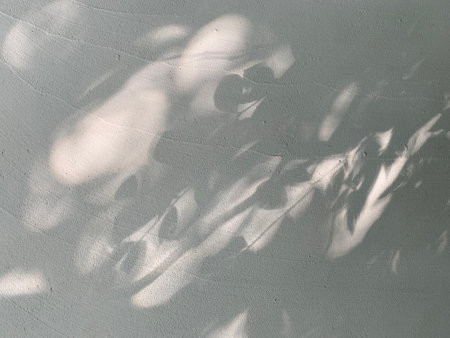 shadow of leaves on a white concrete wall, closeup of photo