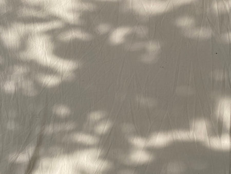 Shadow of tree branches on white fabric. Abstract background and texture for design.の写真素材