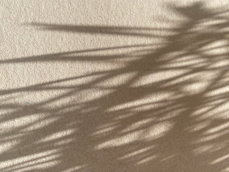 Shadow of leaves on the wall. Abstract background and texture for design.