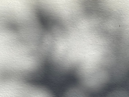 abstract background of shadow tree on white paper with light and shadow
