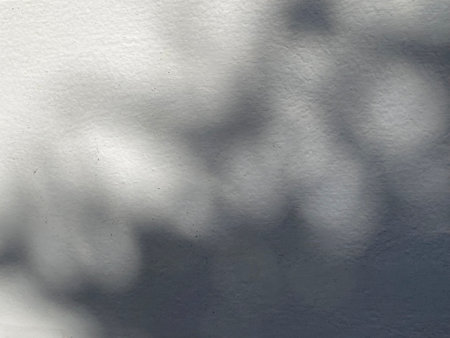 shadow of a tree on a white wall - abstract graphic design background