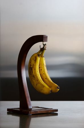 2 ripe bananas on a banana hook hanger in kitchen on counter.  Refrigerator in background.の写真素材