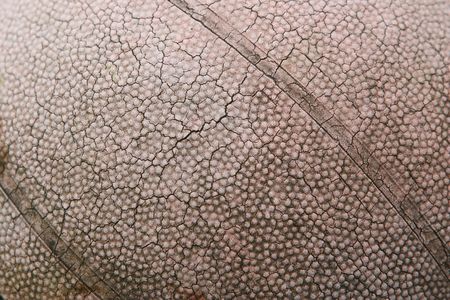 An old basketball with numerous cracks in the leather exterior caused by prolonged exposure to the...