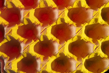 colorful empty eggs carton or box showing shape,light and shadow patterns