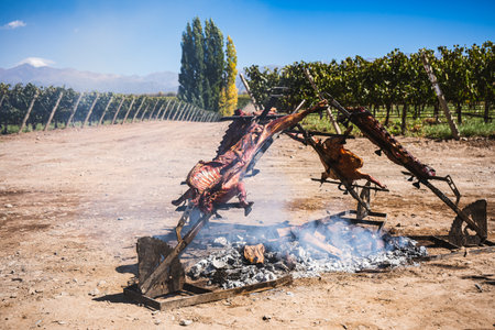 A goat barbeque over an open fire. Argentine style.の写真素材