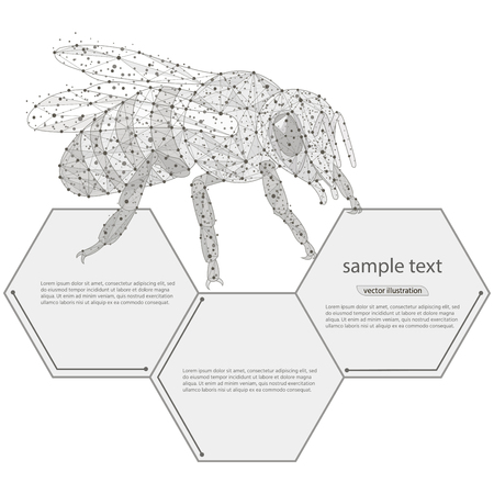 bee abstract logo design. low poly frame isolated black on white background.The concept of insects consists of lines, dots, triangles. Vector.のイラスト素材