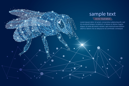 Bee abstract logo design. low poly frame. outer space and the starry sky. The concept of insects consists of lines, dots, triangles. Vector.のイラスト素材